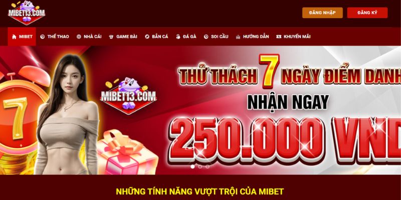 Các thông tin cần cung cấp khi đăng ký