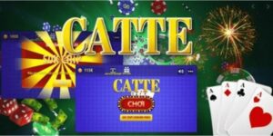 Chơi bài catte online dễ hiểu