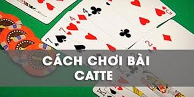 Hướng dẫn chơi bài catte online chi tiết